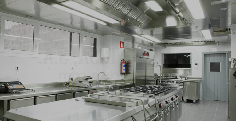 Empresa de control de plagas en Navarra